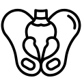 Physiothérapie périnéale