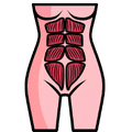 Atelier durant la grossesse
